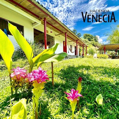 Hacienda Venecia Hostel San Peregrino Exteriör bild