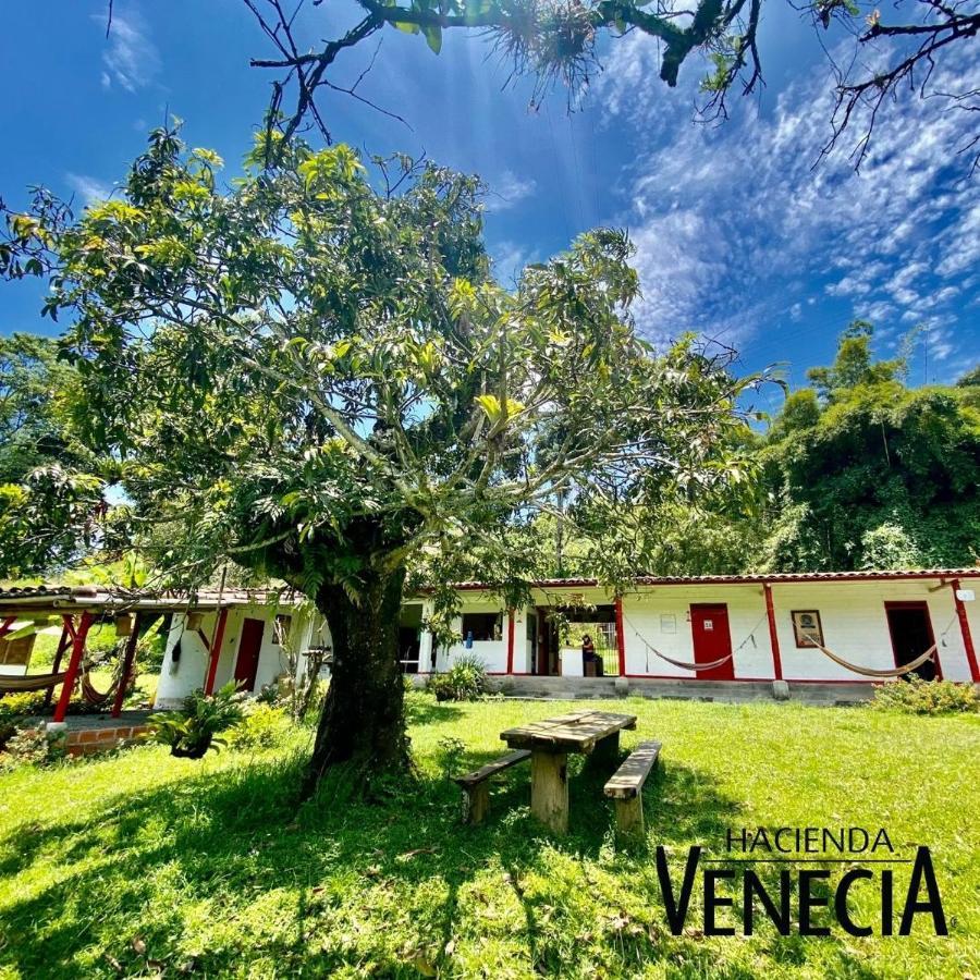 Hacienda Venecia Hostel San Peregrino Exteriör bild